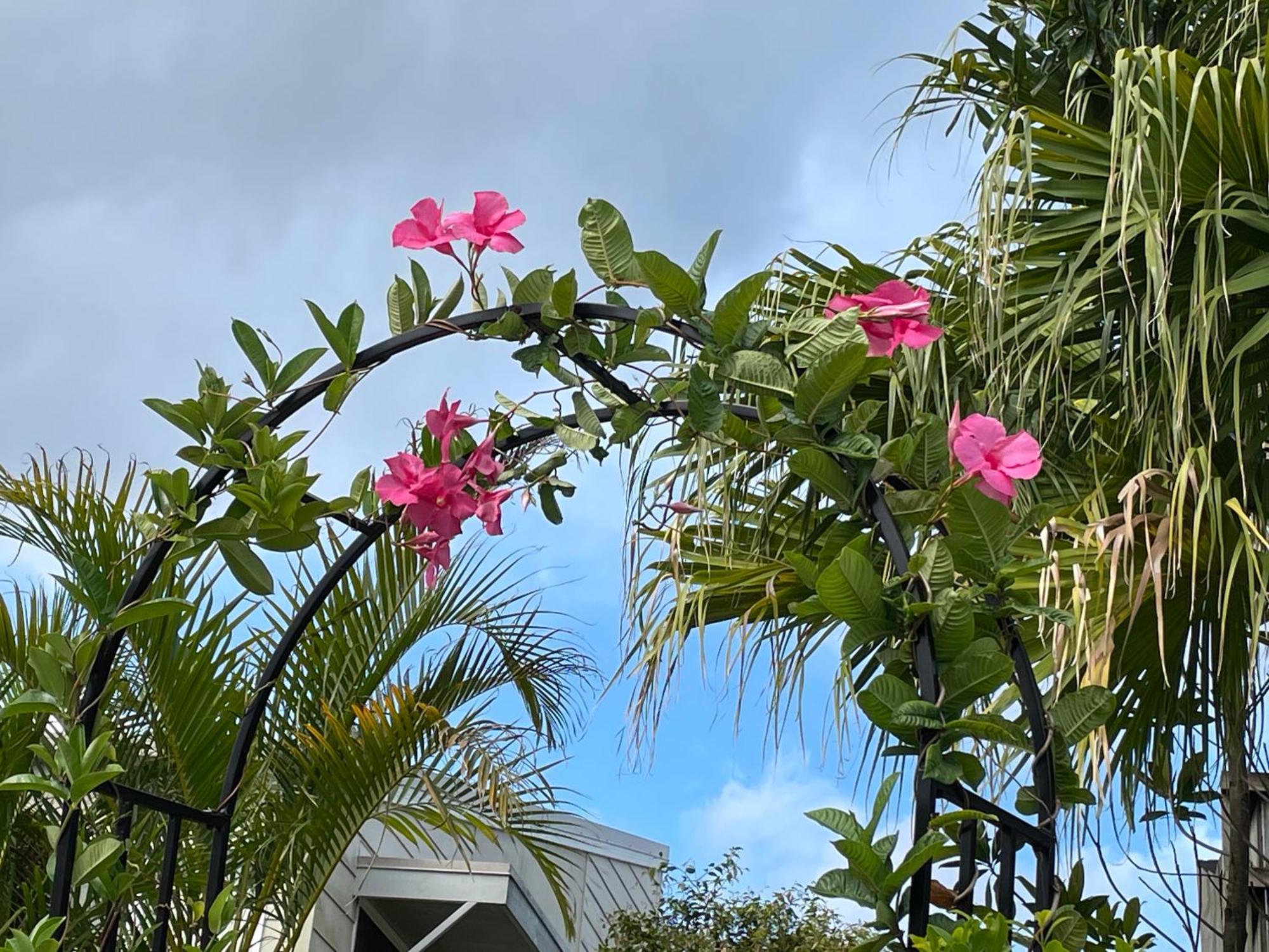 Theme Parks Amituofo Homestay Gold Coast Esterno foto